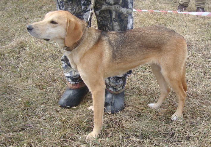 рг вка мл Юла Вязмик Фото.JPG