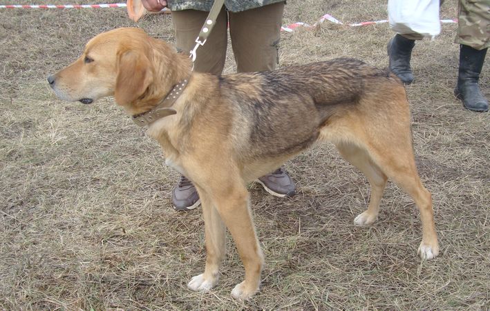 рг вка сред Сорока Воропай Фото.JPG