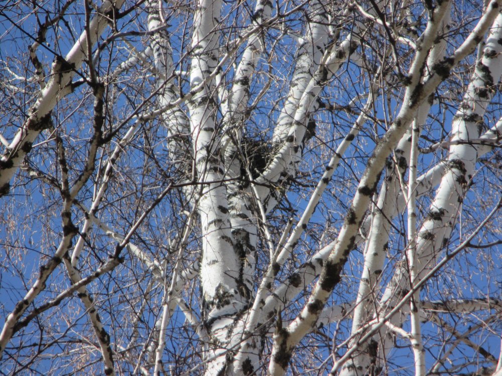 IMG_7457.JPG
