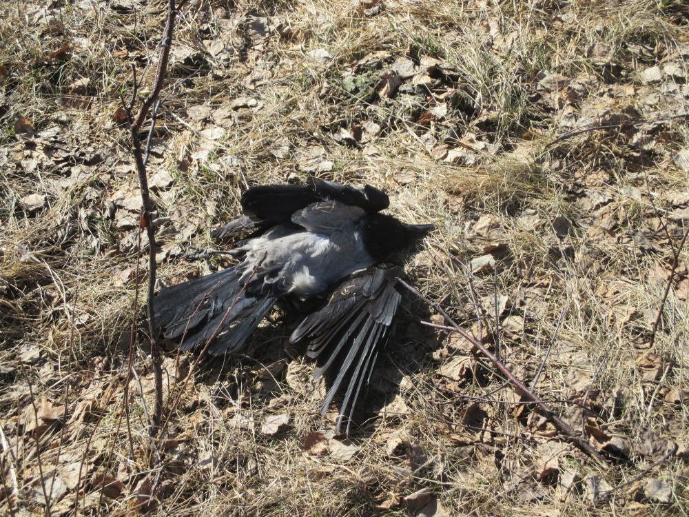 IMG_7460.JPG