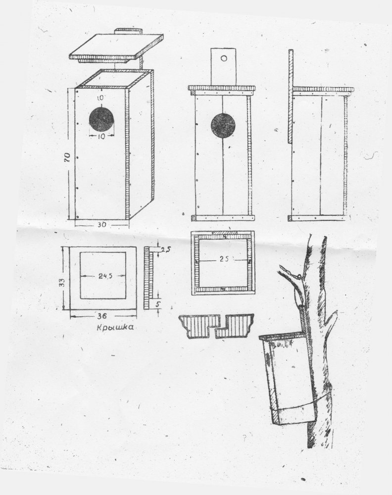 Гоголяьник размеры.jpg