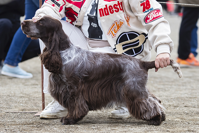 Iriskis Ирискис Джар оф Джем.jpg