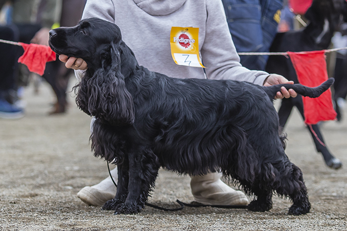 elen klondak_2647.jpg