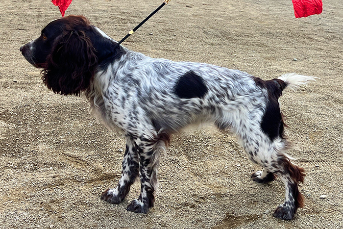 Jamal ямал_8974.JPG