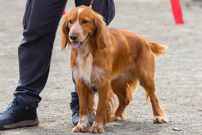 nyu mitchel нью Митчел8991.JPG