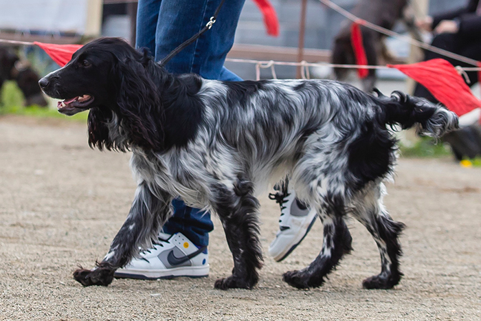 labaz лабаз 990.JPG