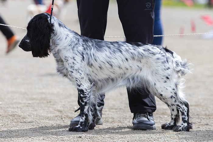 megri мегри 3276.jpg