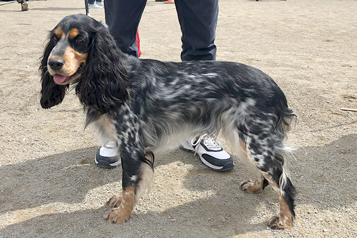 dora дора щукин980.JPG