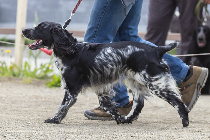 Lirika Лирика_3235.jpg