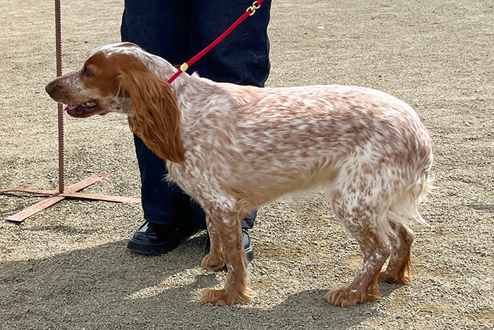 nora нора романенко_3239 (2).JPG