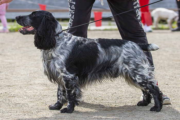 Radar Радар_3382.jpg