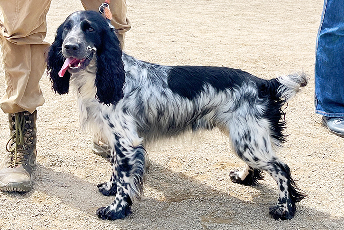 enesey Енисей385 (2).JPG