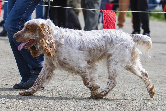 Dgej Джей Климкович8995 (2).jpg