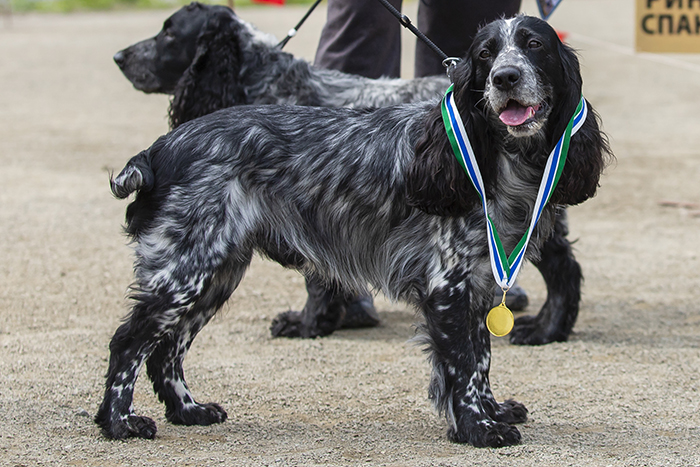 paks пакс 997.JPG