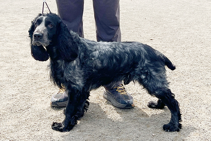 grom гром-нрол332 (2).JPG