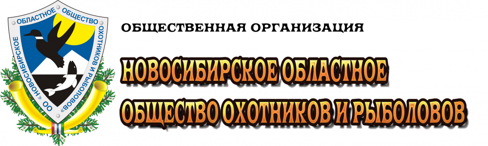 upload_2024-7-4_10-52-7.png