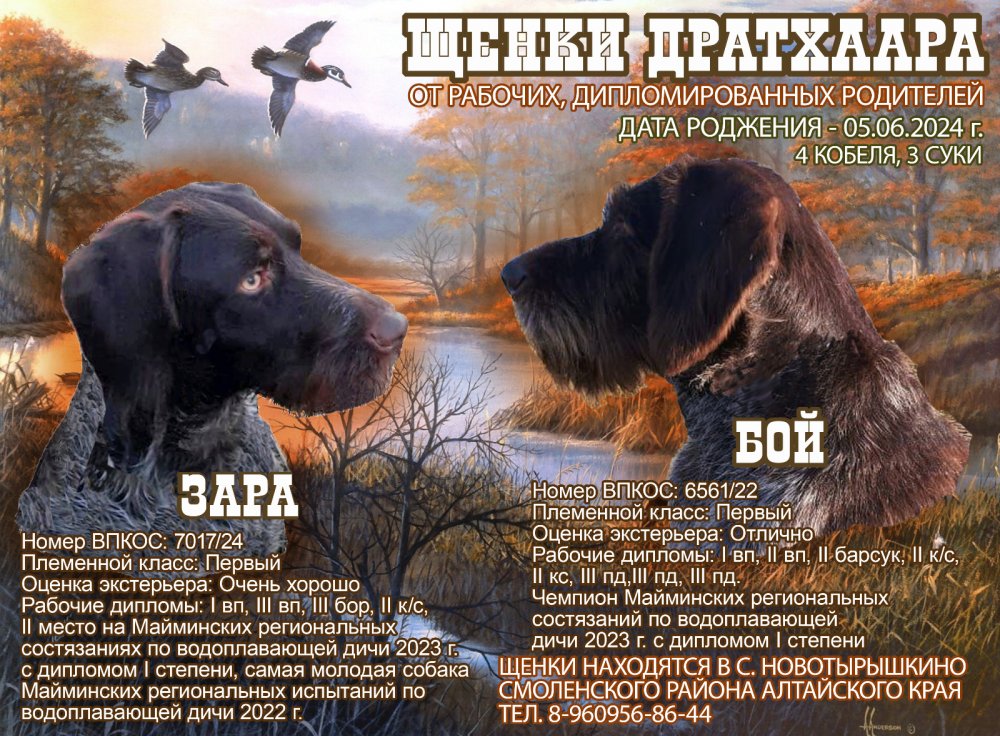 cb0e38a5-1fe4-4e04-af9d-092b4a52a517.jpg