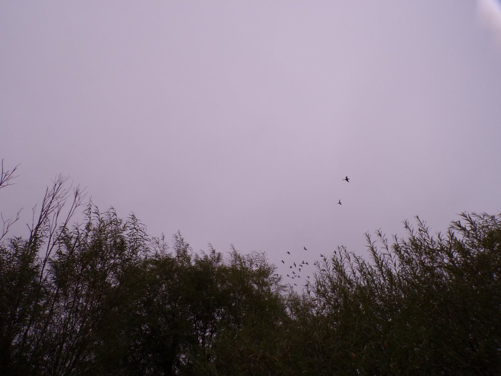 100_0489.JPG