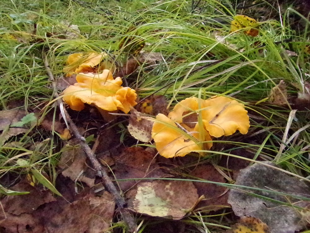 100_0513.JPG