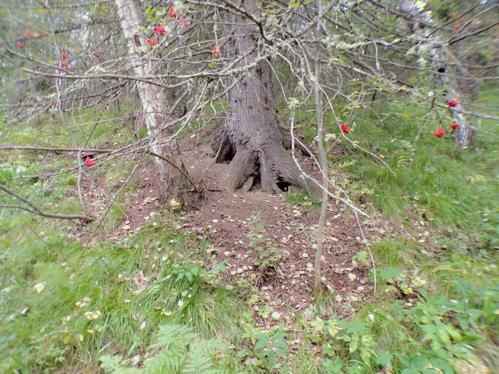 100_0576.JPG