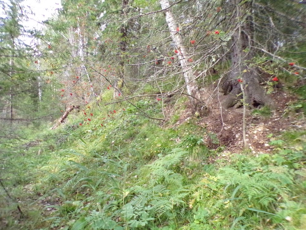 100_0586.JPG