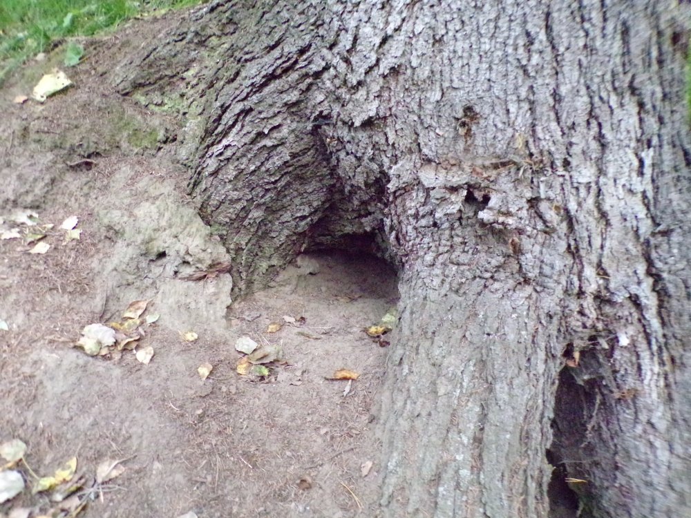 100_0583.JPG
