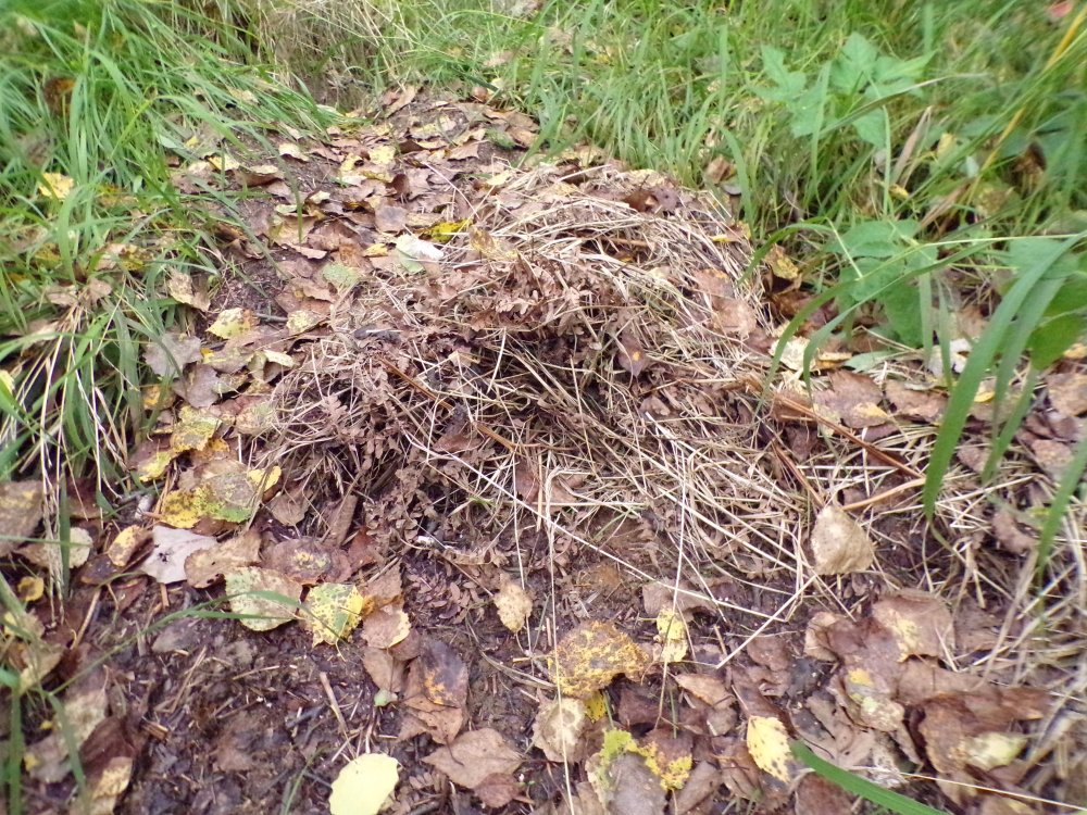 100_0700.JPG