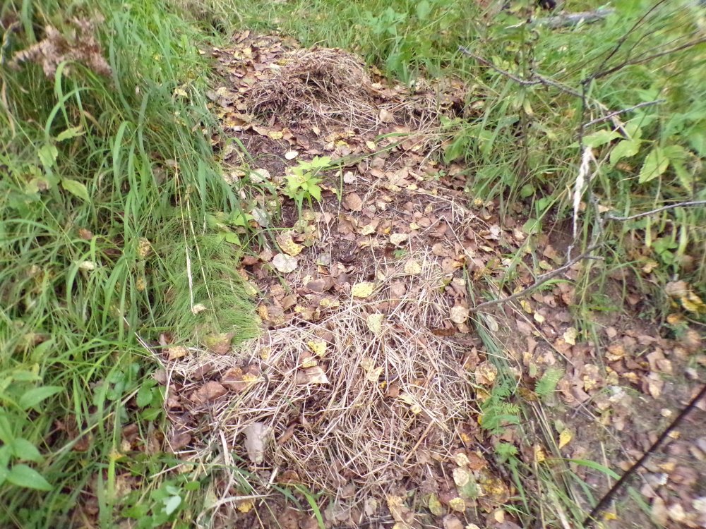 100_0699.JPG