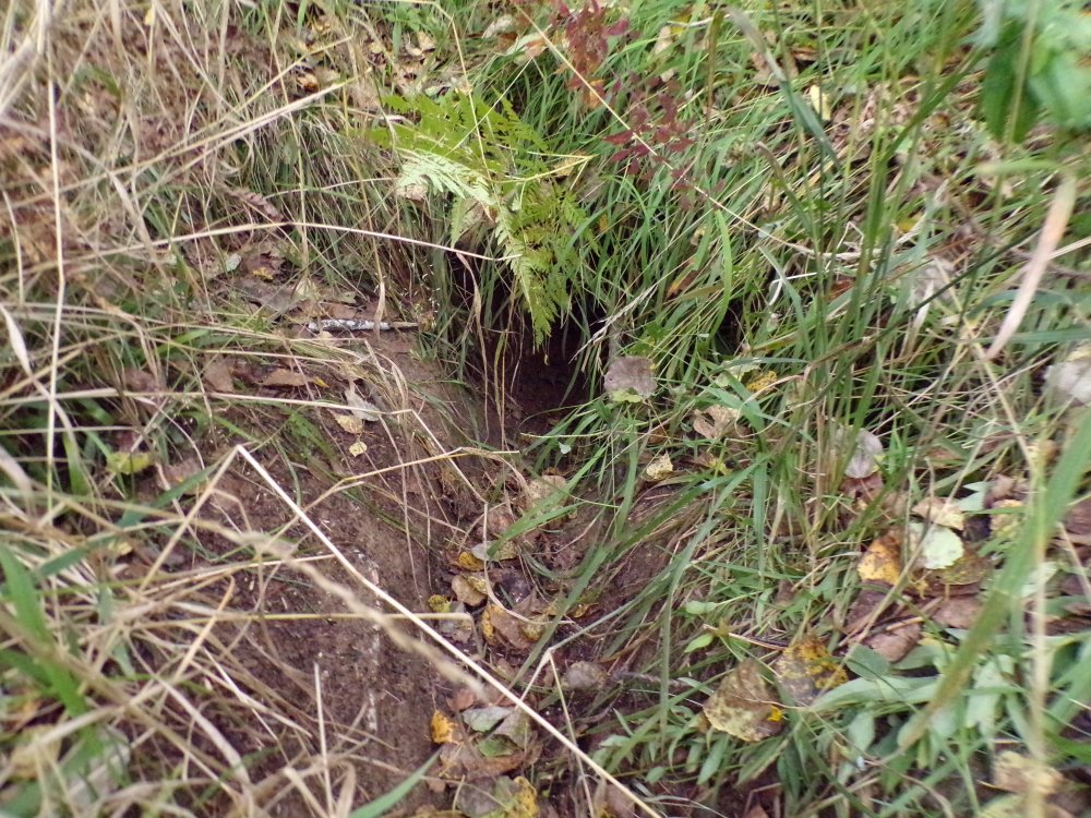 100_0701.JPG