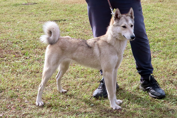 bella kucher Марка белла Кучер_8344.JPG