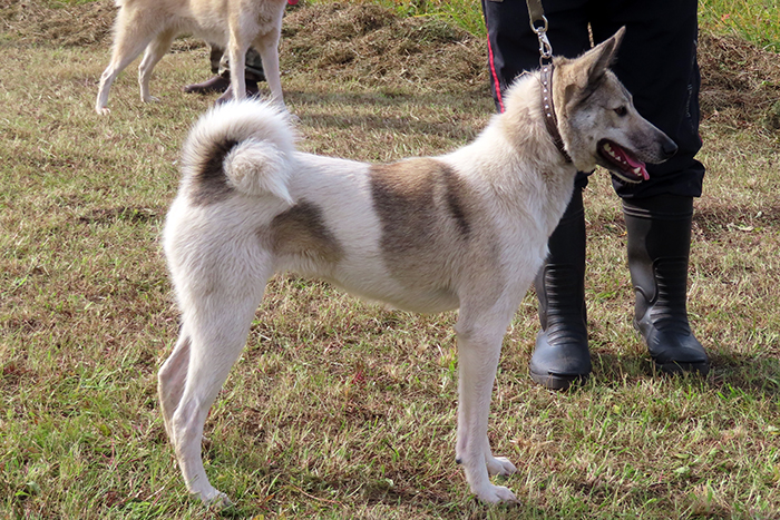 лана Шмаков 8423.JPG