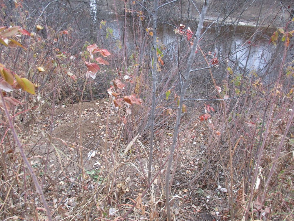 IMG_0490.JPG