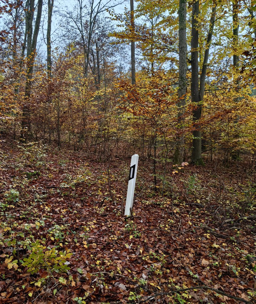 IMG_20241117_104700.jpg