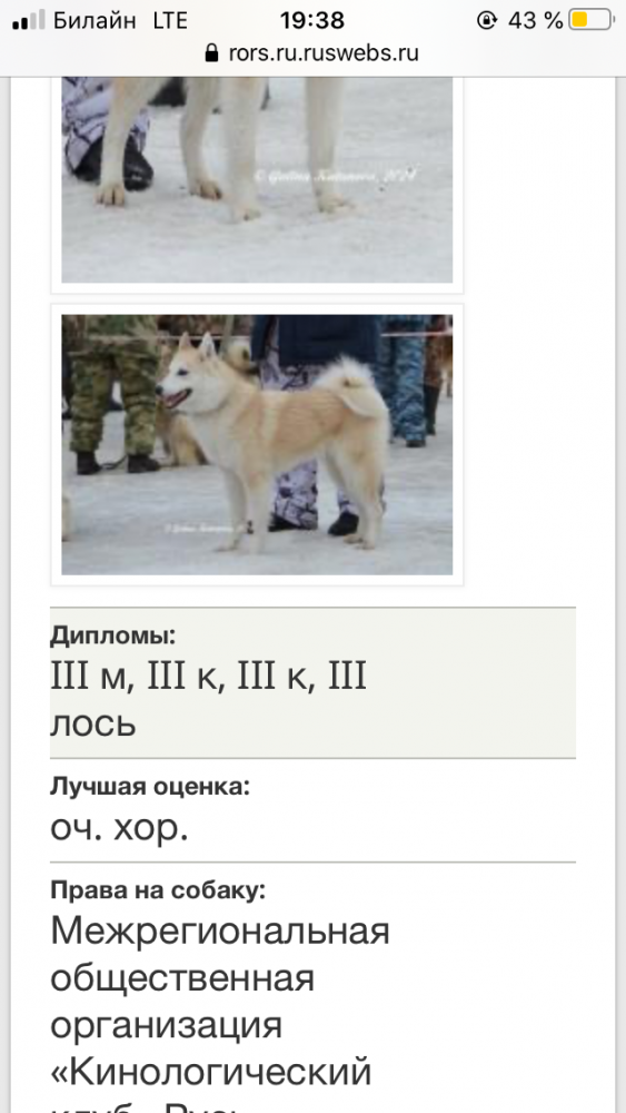 5BFA8E96-8B41-412A-A5F3-6F8639F201AA.png