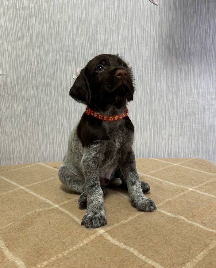 photo_2025-01-10_00-33-58 (2).jpg