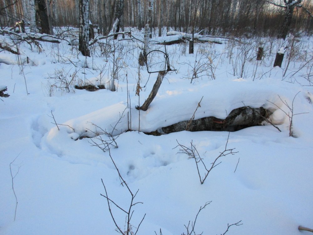 IMG_1074.JPG