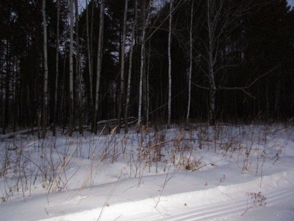 IMG_1080.JPG