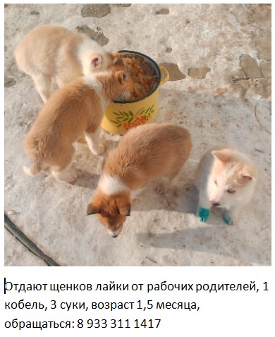 WhatsApp Image 2025-01-17 at 09.55.19.jpeg