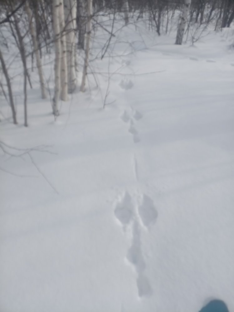 IMG_20250216_130315_056.jpg