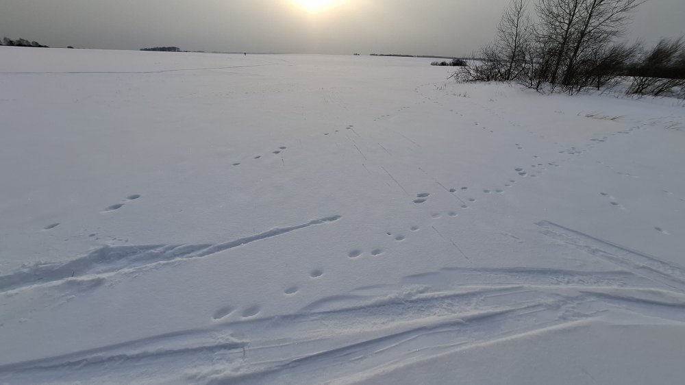 20250131_153026.jpg