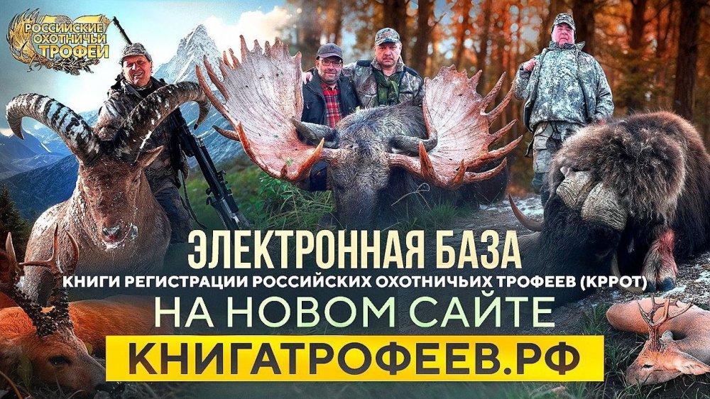 YeYRlAgKfIs.jpg