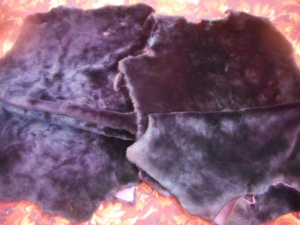 DSCN2805.JPG