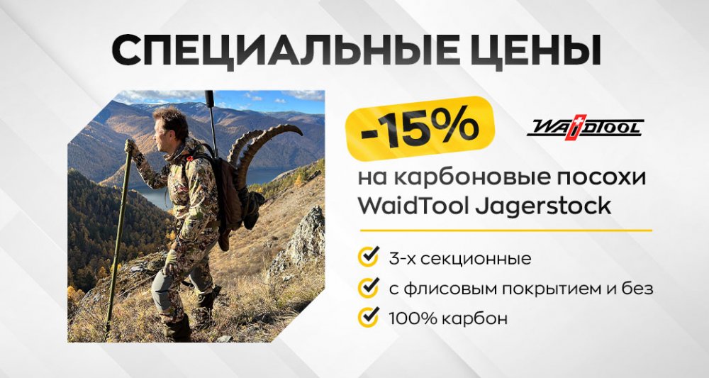 Banner_Palki 1.jpg