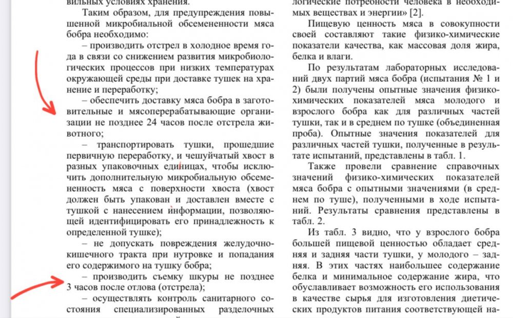 IMG_5006.jpeg