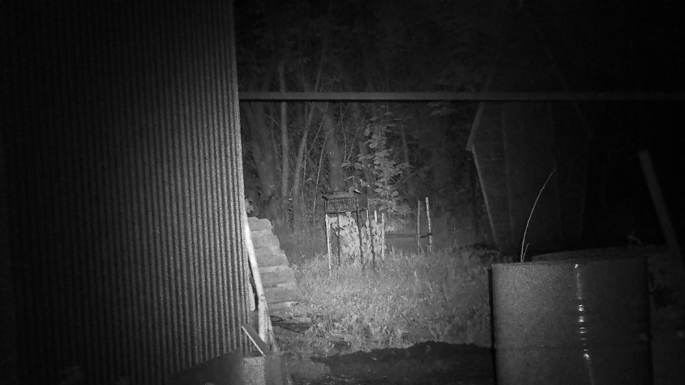 IMG210116-100132-000082F.JPG