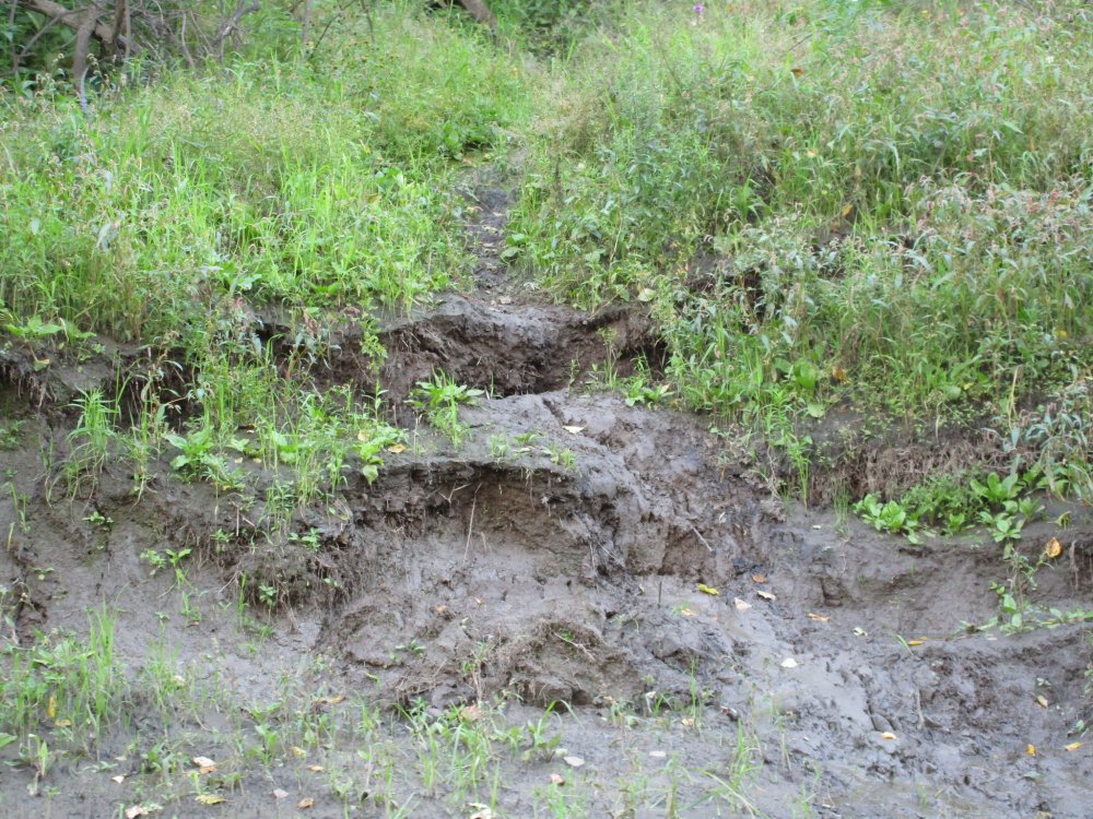 IMG_1770.JPG