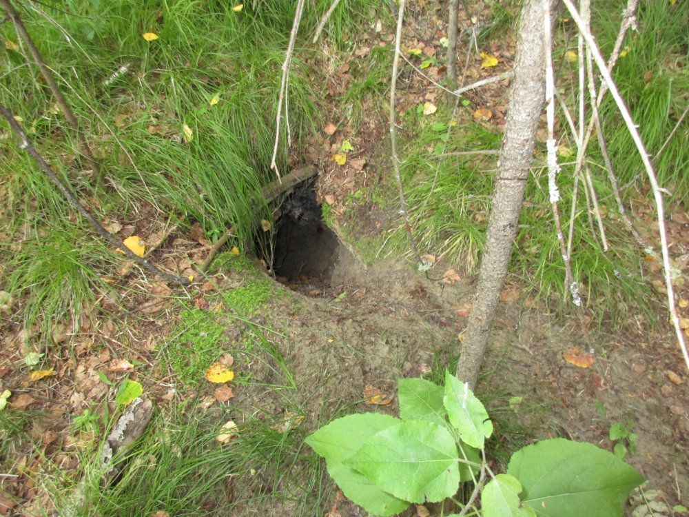 IMG_1776.JPG