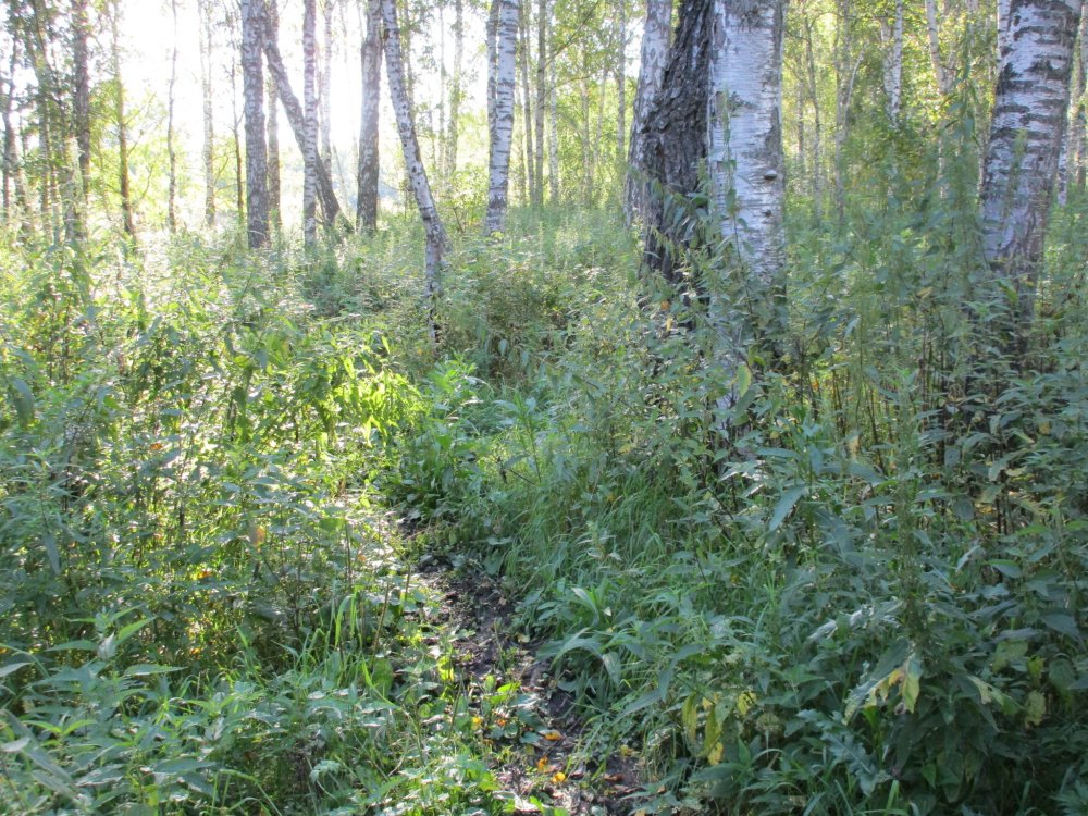 IMG_1760.JPG