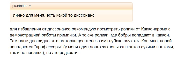 65.jpg