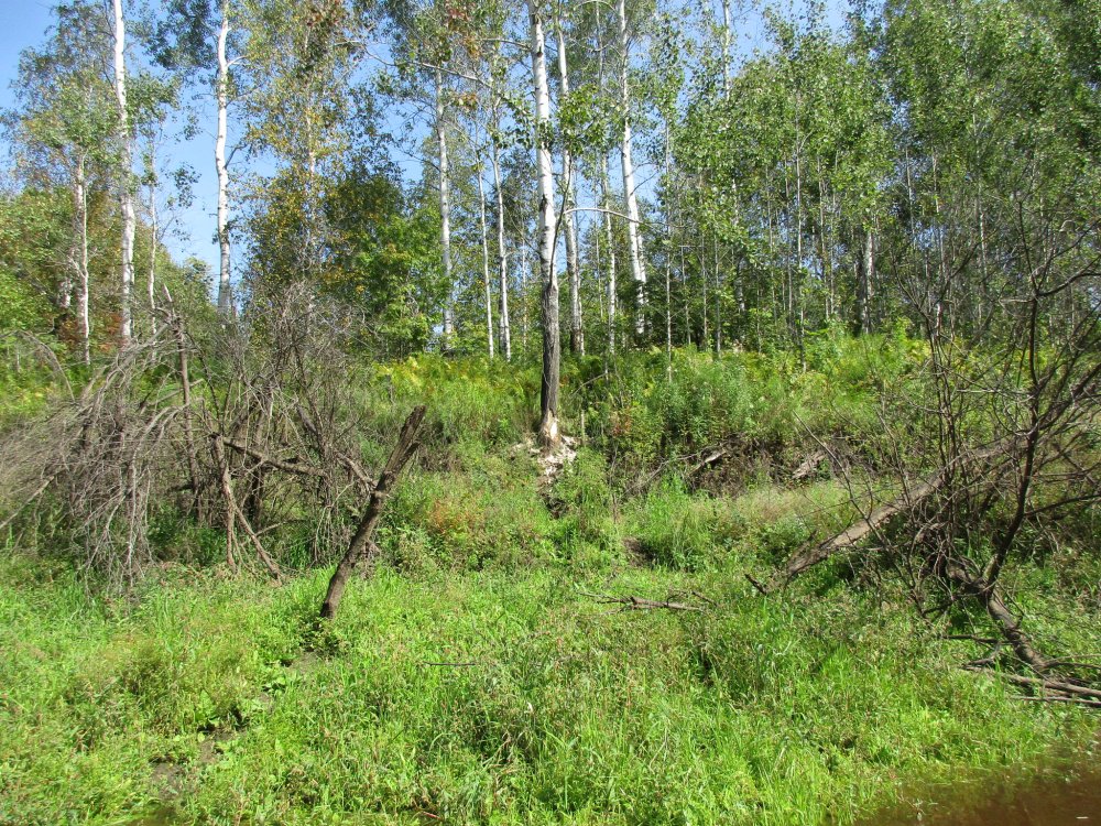 IMG_7489.JPG